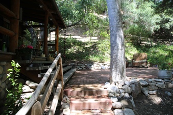 Enlarge photo 69