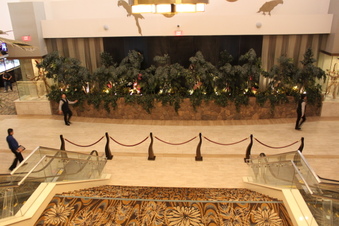 Enlarge photo 32