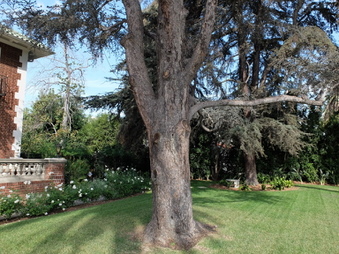 Enlarge photo 11