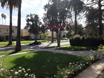 Enlarge photo 15