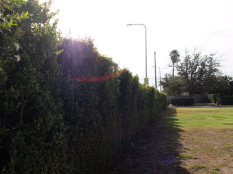 Enlarge photo 3