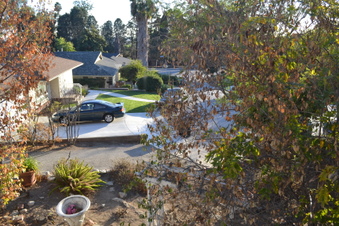 Enlarge photo 63