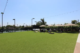 Enlarge photo 81