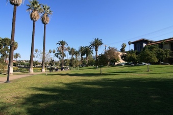 Enlarge photo 10