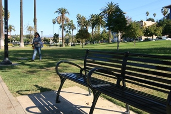 Enlarge photo 15