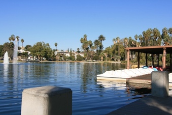 Enlarge photo 35