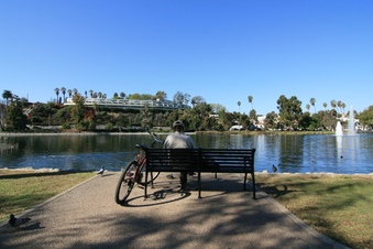 Enlarge photo 37