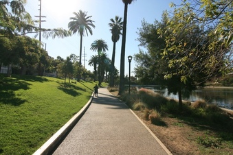 Enlarge photo 41
