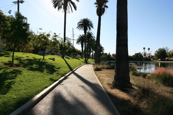 Enlarge photo 43