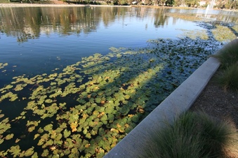 Enlarge photo 47