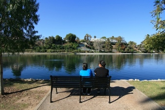 Enlarge photo 49