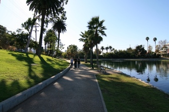 Enlarge photo 51