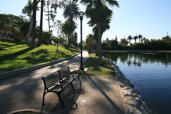 Enlarge photo 53