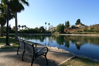 Enlarge photo 54