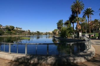 Enlarge photo 56