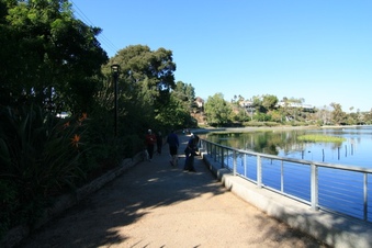 Enlarge photo 58