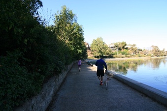 Enlarge photo 60