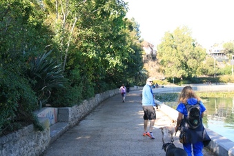 Enlarge photo 61