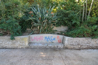 Enlarge photo 62