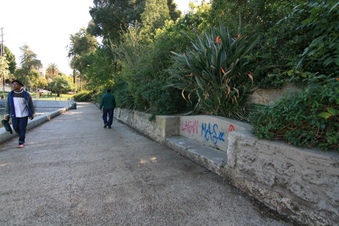 Enlarge photo 63