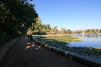 Enlarge photo 64
