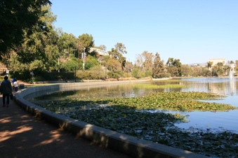 Enlarge photo 65