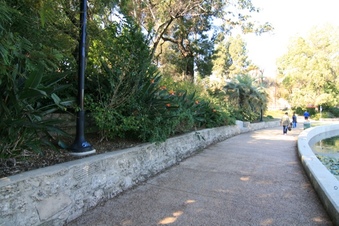 Enlarge photo 66