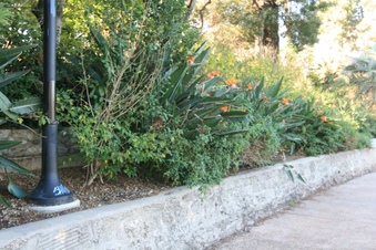 Enlarge photo 67