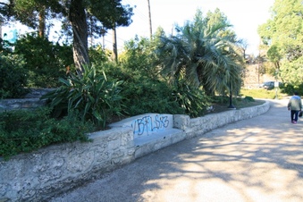 Enlarge photo 68