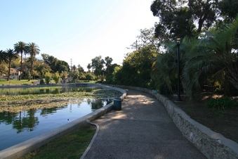 Enlarge photo 71