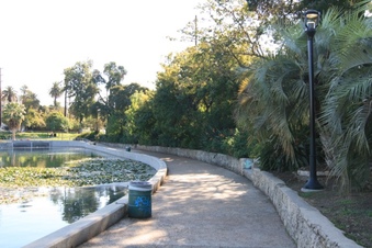 Enlarge photo 72