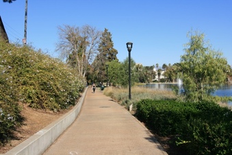 Enlarge photo 79