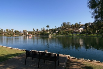 Enlarge photo 80