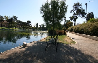 Enlarge photo 81