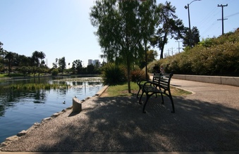 Enlarge photo 82