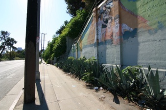 Enlarge photo 87