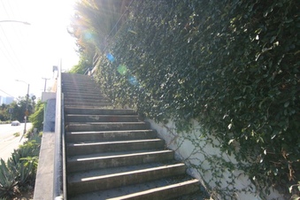 Enlarge photo 93
