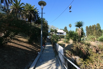 Enlarge photo 120