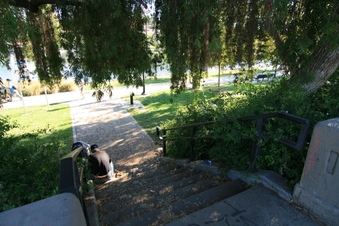 Enlarge photo 124