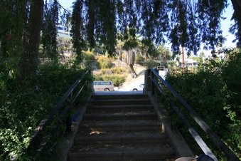 Enlarge photo 125