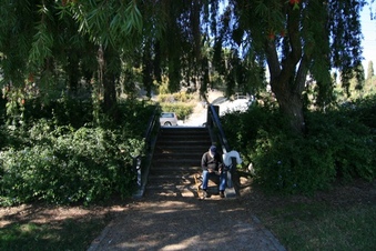 Enlarge photo 126