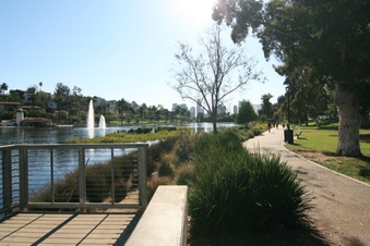 Enlarge photo 130