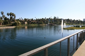 Enlarge photo 133