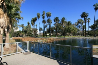 Enlarge photo 135