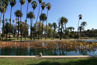 Enlarge photo 136