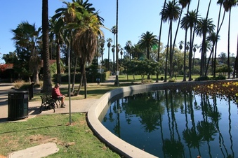 Enlarge photo 140