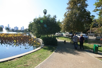 Enlarge photo 142