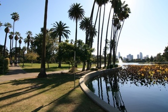 Enlarge photo 143