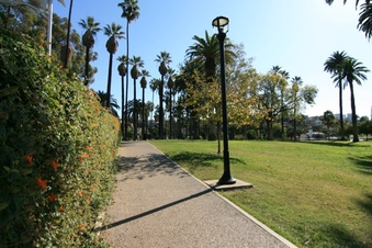 Enlarge photo 145