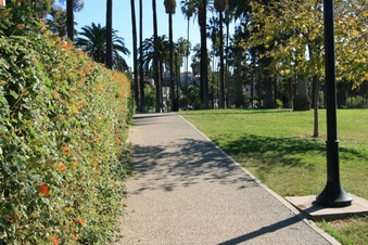 Enlarge photo 146